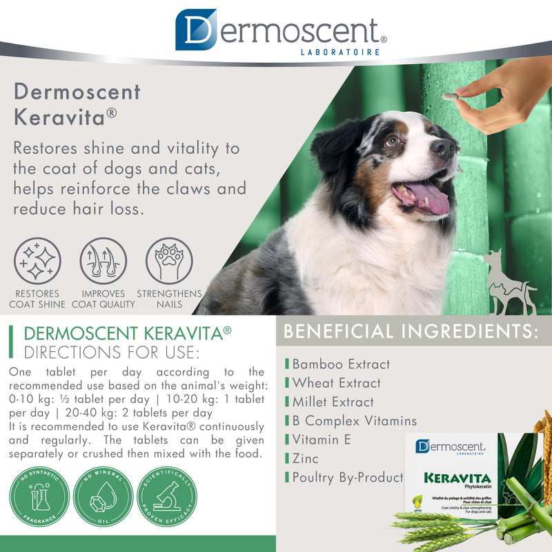 Dermoscent Keravita® Dog & Cat Skin and Coat Food Supplement - Natural Vitamin Pills for Hair Loss or Brittle Claws - 30 Tablets - PawsPlanet Australia