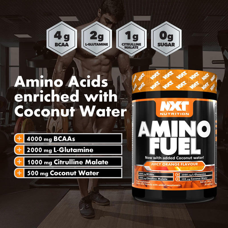 NXT Nutrition Amino Fuel Energy Drink | BCAAs Amino Acids with Beta Alanine, Vitamin D3 and Citrulline Malate – for Performance, Endurance and Energy Support | (Orange)