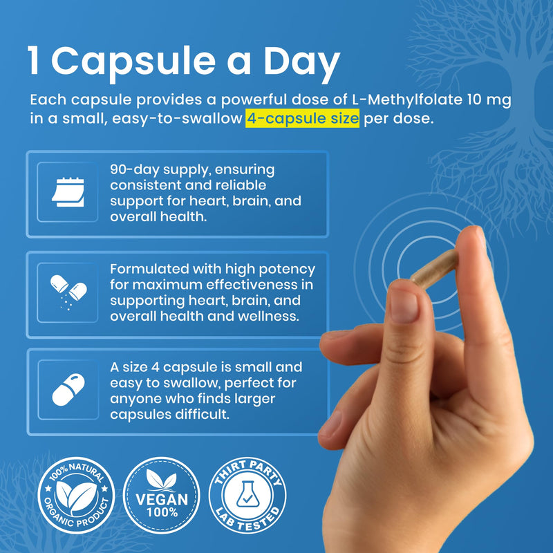 L Methylfolate 10mg | 90 Capsules | Optimized & Highly Bioactive Methyl Folate Supplement | 5-MTHF Supports for Energy, Focus & Mood | Non-GMO, Gluten Free, Vegan | 3 Month Supply 10 mg
