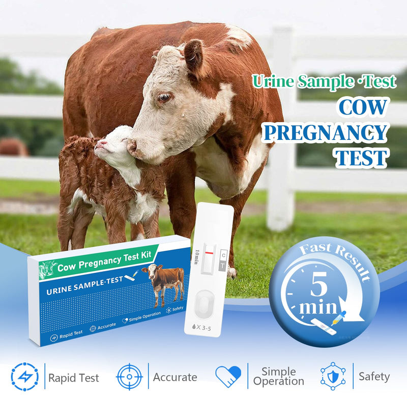 Non-Invasive Bovine Pregnancy Test Kit (2 Pack) - Painless Urine Test for Cattle, Stress-Free Early Detection, Fast Results in 5-10 Mins, Safe & Hygienic for Dairy & Beef Farms 1 Count (Pack of 2)