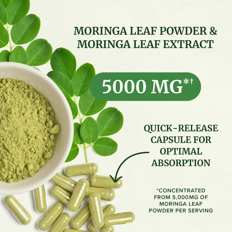 Moringa Capsules 5000mg | Potent Antioxidant Superfood | Non-GMO, Third-Party Tested Pure Moringa for Energy, Immunity & Gut Health Support | 100% Moringa Oleifera | Vegetarian & Gluten-Free | 60 Ct