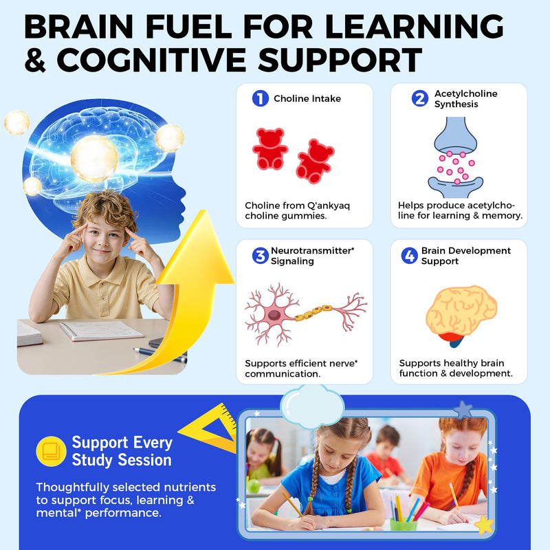 Choline Gummies for Kids & Teens, Brain Supplement with Phosphatidylserine | Choline, Phosphatidylserine & Active B Vitamins, Support Focus & Memory, Age-Based Formula, Daily Choline Support, Sugar Free