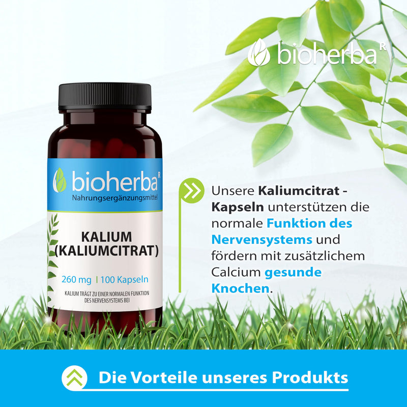 [Australia] - High-dose potassium - 260 mg potassium citrate per capsule, 100 capsules from BIOHERBA for optimal electrolyte balance and natural vitality 