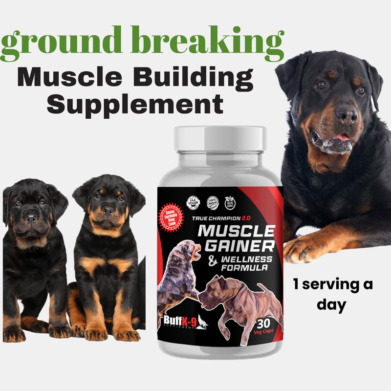 BuffK-9's 3-in-1 Dog Muscle Builder and Weight Gainer for Dogs Capsules for Puppies & Adult Dogs - All Breeds -Top Choice Canine Dog Supplement for Muscle Gains - 30 Caps - PawsPlanet Australia