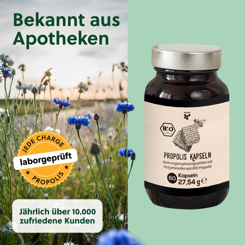 [Australia] - beegut ORGANIC propolis capsules, 60 capsules in a vegetable capsule shell with ORGANIC propolis extract, sustainable packaging, 60 pieces (pack of 1) 