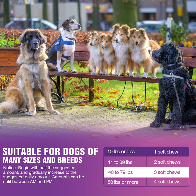 Glucosamine for Dogs 200pcs Joint Support Supplement Dog Hip and Joint Chondroitin Chews Treats with MSM Hemp Dog Joint Pain Relief Mobility Supplements Chicken Flavor Fit All Large Small Medium Breed - PawsPlanet Australia