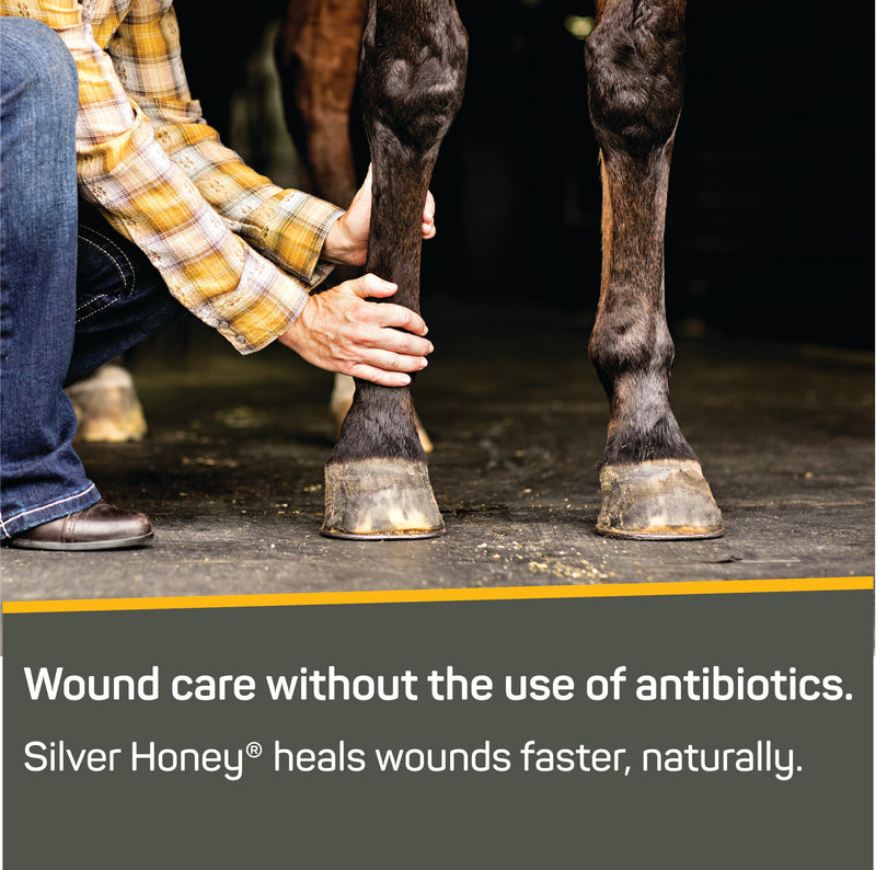 Absorbine Silver Honey Rapid Wound Repair Ointment 2oz Tube, Medical Grade Manuka Honey & MicroSilver BG 2 oz, Single - PawsPlanet Australia