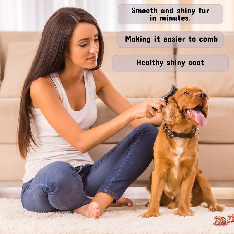 Pet Silk Shampoo - Long Lasting Fresh Scent - Clean and Condition Pet's Fur - Gentle Odor Remover for Puppies, Dogs and Cats (Mountain Berry - 16 oz) - PawsPlanet Australia