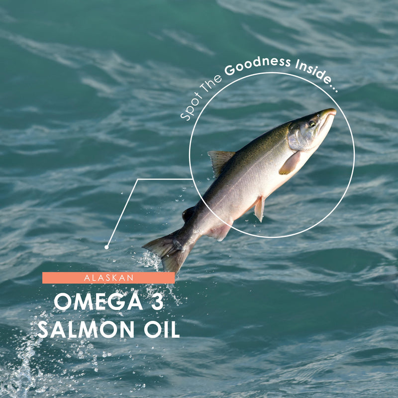 Alaskan Omega 3 Fish (Salmon) Oil 2000mg - Wild Caught Sockeye Salmon Oil 360mg EPA 240mg DHA - 90 Softgels - Resealable and Recyclable Pouch by Alpha01 1 count (Pack of 90)
