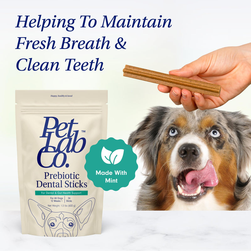 PetLab Co. Dental Sticks – Dog Dental Chews -Target Plaque & Tartar Build-Up at The Source - Designed to Maintain Your Dog’s Oral Health, Keep Breath Fresh and Provide Digestive Help (24 Sticks) Prebiotic 24 Count (Pack of 1) - PawsPlanet Australia