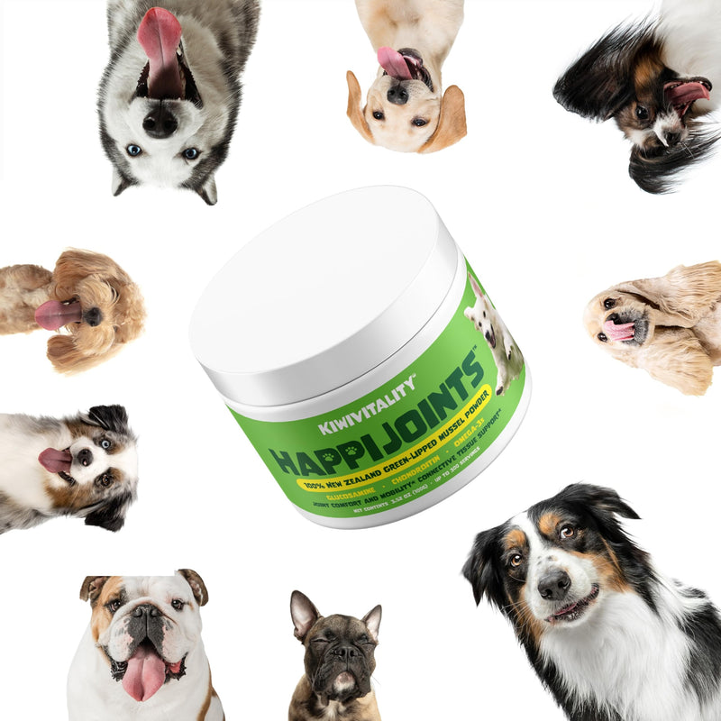 Green Lipped Mussel Powder for Dogs & Cats - Premium Hip & Joint Support for Joints, Tendons, Ligaments (100 Grams, Up to 300 Servings) - PawsPlanet Australia