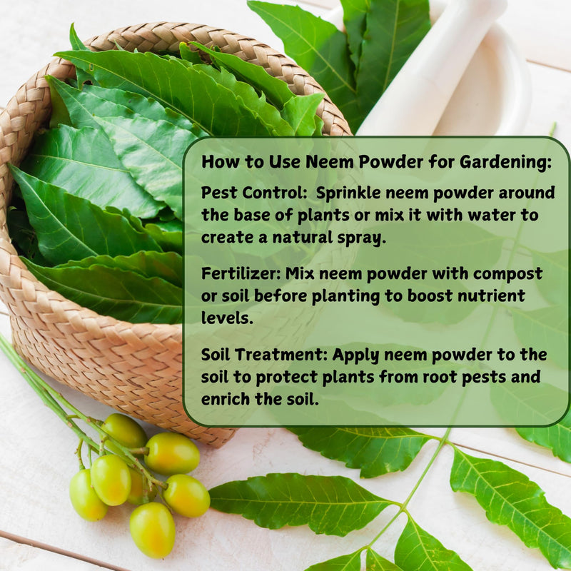 [Australia] - Neem Powder 100% Pure Natural Leaf Powder for Hair, Skin & DIY Uses Finely Ground & Additive Free Natural Supplement in Resealable Pack ‚Äì 2 oz 