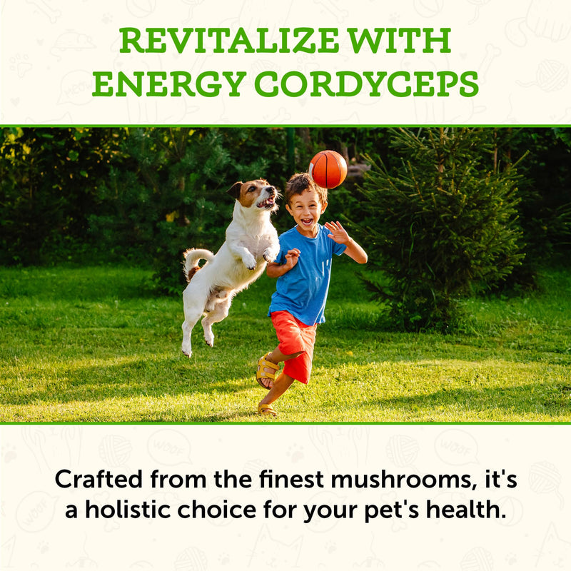 Animal Essentials Energy Cordyceps Mushroom Supplement for Dogs & Cats - Support Stamina & Endurance, Healthy Respiratory & Kidney Functions, Antioxidant, Mushroom Powder Extract - 2.8 Oz (Pack of 1) - PawsPlanet Australia