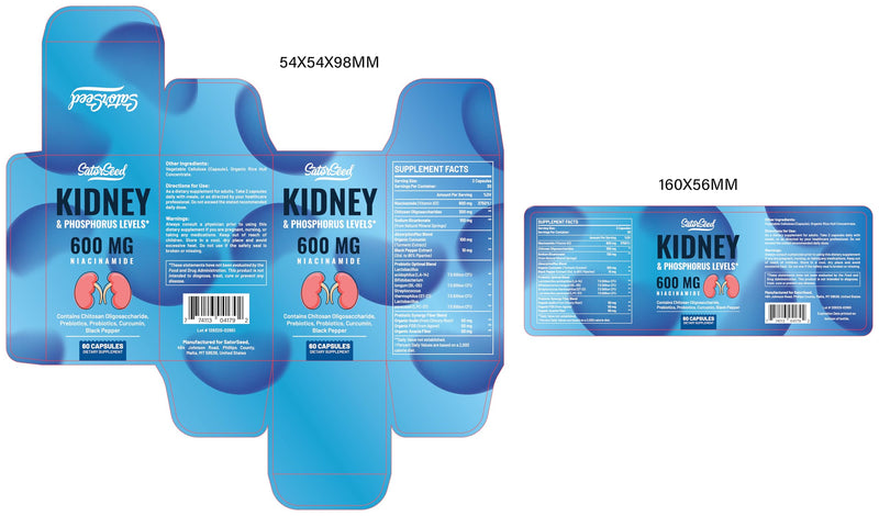 Kidney Support Supplement with 600mg Niacinamide, Chitosan Oligosaccharide, Curcumin, Probiotics – Phosphorus Binder – 60 Capsules 60 Count (Pack of 1)