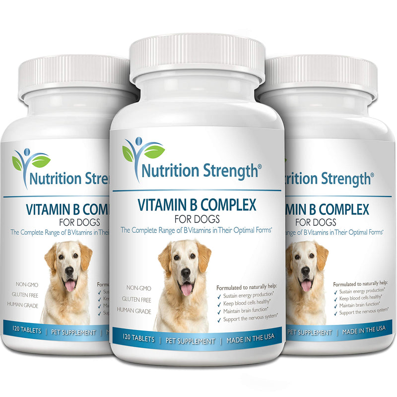 Vitamin B for Dogs, Complete B Complex for Dogs, Promote Blood Cell & Nervous System Health, Help Sustain Cellular Energy Production & Maintain Brain Function, 120 Chewable Tablets - PawsPlanet Australia