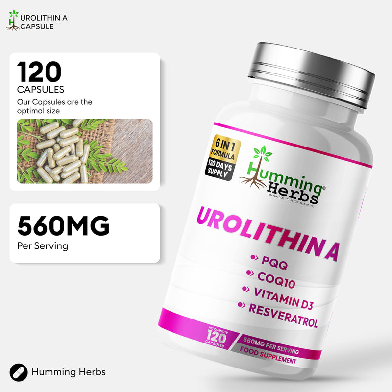 Humming Herbs Urolithin A Complex 560mg – CoQ10, PQQ, Resveratrol, D3 & B12 – 120 Vegan Capsules (120 Days)