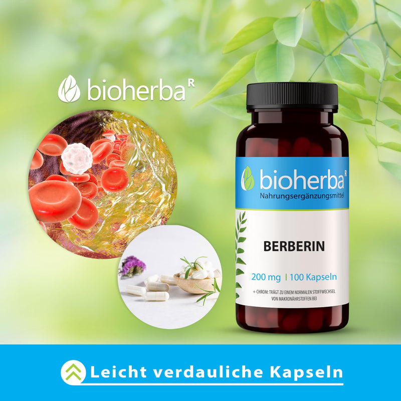 [Australia] - 100 high-dose berberine capsules - 800mg per DAILY DOSE 200mg per berberine capsules - supports blood sugar levels and metabolism, with chromium, berberine HCL from Berberis Vulgaris - BIOHERBA 100 capsules 