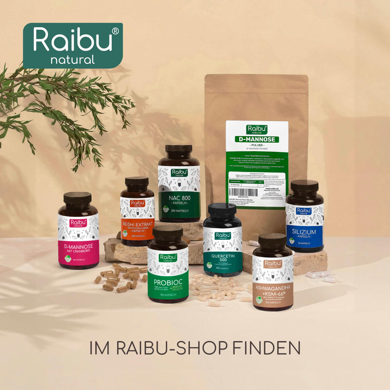 [Australia] - Quercetin high dose - 180 capsules - 500 mg quercetin per capsule - supply for 6 months - high-quality raw material: Japanese cord tree - no additives & vegan - Raibu 