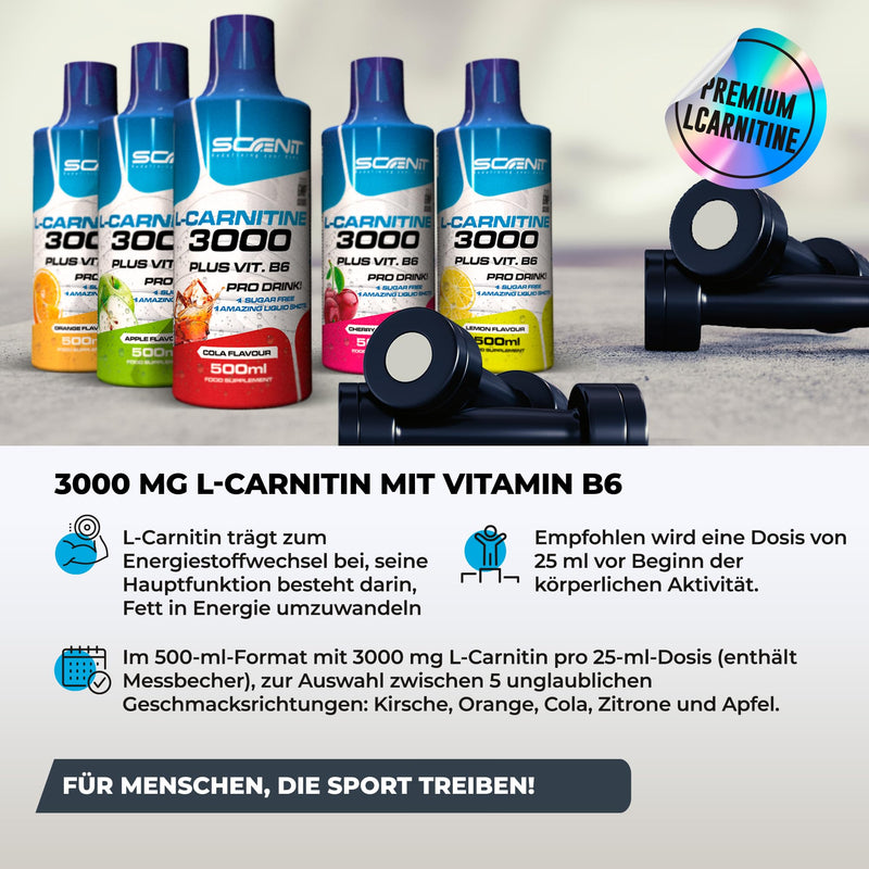 [Australia] - L Carnitine Liquid - L Carnitine 3000 - L-Carnitine Liquid - L-Carnitine High Dose - L Carnitine 3000 mg (500 ml) (Apple) Apple 