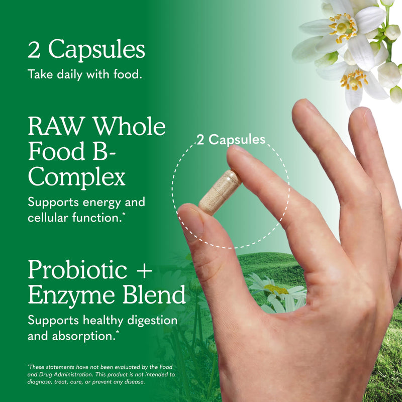 Garden of Life Vitamin B Complex, 120 Vegan Capsules, High Potency Vitamins for Energy & Metabolism with B6, Folate & B12 as Methylcobalamin plus Probiotics | High Potency Vitamins for Energy & Metabolism with B6, Folate & B12 as Methylcobalamin, plus ...