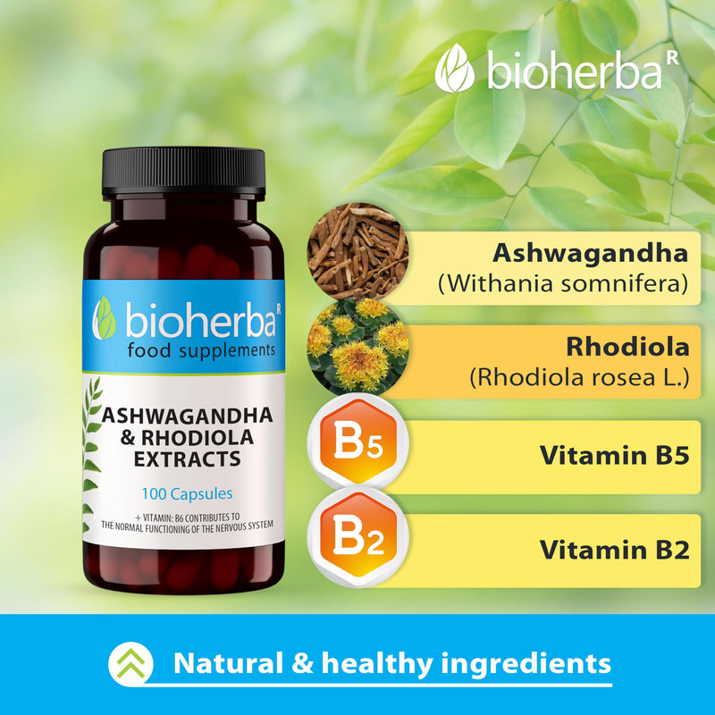Ashwagandha Rhodiola Complex – 100 Capsules | Adaptogen Formula with B-Vitamins for Energy and Mental Performance by BIOHERBA 100 pcs