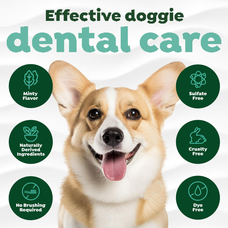 TropiClean Fresh Breath No Brush Total Care Kit | Dog Dental Hygiene| Dog Teeth Cleaning Made Easy | Water Additive No Brushing Toothpaste for Dogs - PawsPlanet Australia