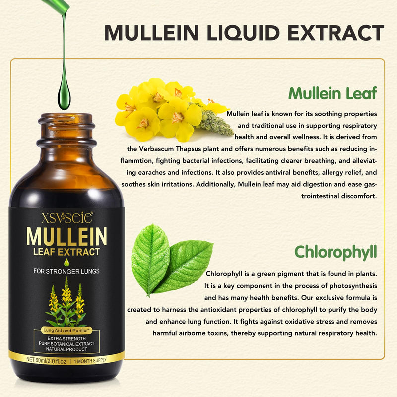 [Australia] - Mullein Leaf Extract, Mullein Leaf Drops, Mullein Drops For Lungs, Natural Mullein Extract, Supports lung cleansing and respiratory function for healthy breathing (1) 1 