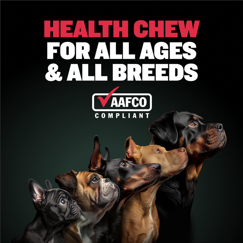 Bully Max 9-in-1 Total Health Dog Chews - Puppy & Adult Dog Multivitamin Treats - Omega 3 Vitamin Supplements for Immunity, Brain, Heart, Joint & Digestive Health for All Breeds - 75 Soft Chews/Bag - PawsPlanet Australia