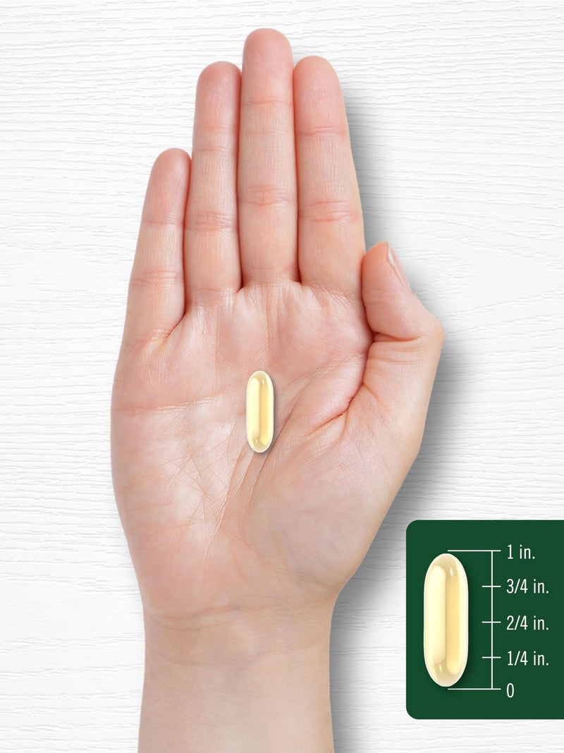 [Australia] - Carlyle Borage Oil Capsules | 2000mg | 200 Softgels | 320mg of GLA | Cold Pressed Seed Oil Supplement | Hexane Free | Non-GMO & Gluten Free 