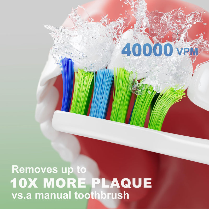 7AM2M Sonic Electric Toothbrush, High Power Rechargeable Toothbrushes, 5 Modes with 2 Minutes Built in Smart Timer, with 4 Brush Heads for Adults and Kids, One Charge for 60 Days (Green) Green