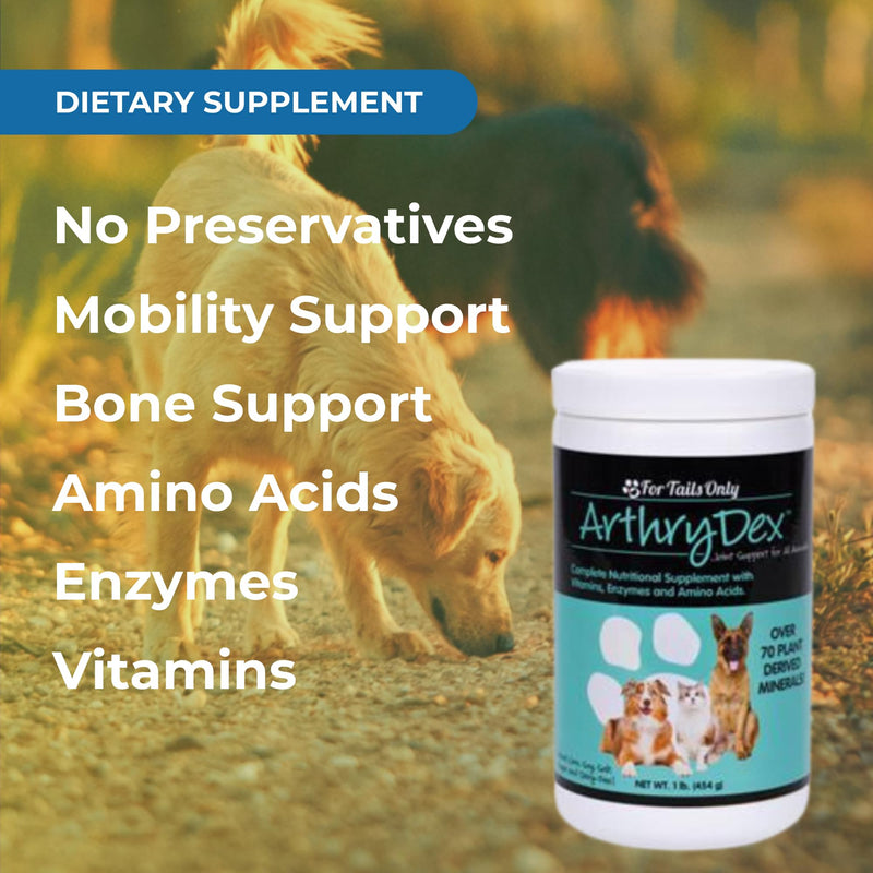 Multi Vitamins, Minerals Joint Support for Pets ARTHRYDEX - 1 LB canister | Vitamins, amino acids and enzymes, bone and joint support for small and large animals, complete pet nutrition, 1 lb canister