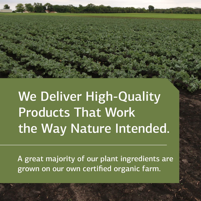 [Australia] - Standard Process Manganese B12 - Whole Food Hemoglobin and Antioxidant with Manganese, Organic Carrot, Maltodextrin, Copper, Organic Sweet Potato, Camu Camu, Vitamin B12-90 Tablets 