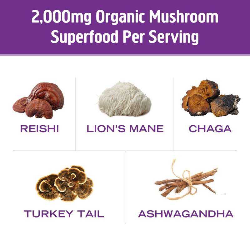 [Australia] - OM MUSHROOM SUPERFOOD Hot Chocolate Blend Mushroom Powder, 8.47 Ounce Canister, 30 Servings, Cocoa, 2g of Sugar, 25 Calories, Lion's Mane, Reishi, Chaga, Turkey Tail, Focus and Stress Support 8.47 Ounce (Pack of 1) 