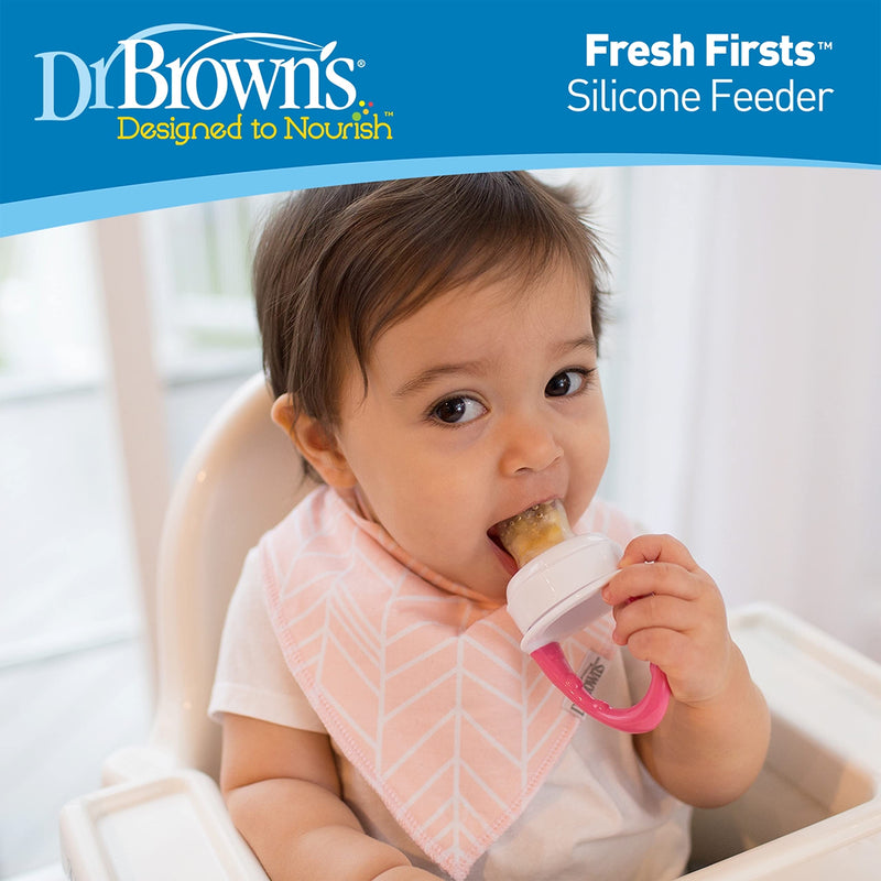 [Australia] - Dr. Brown's Fresh First Silicone Feeder, Mint & Grey, 2 Count 2 Pack, Mint & Gray 