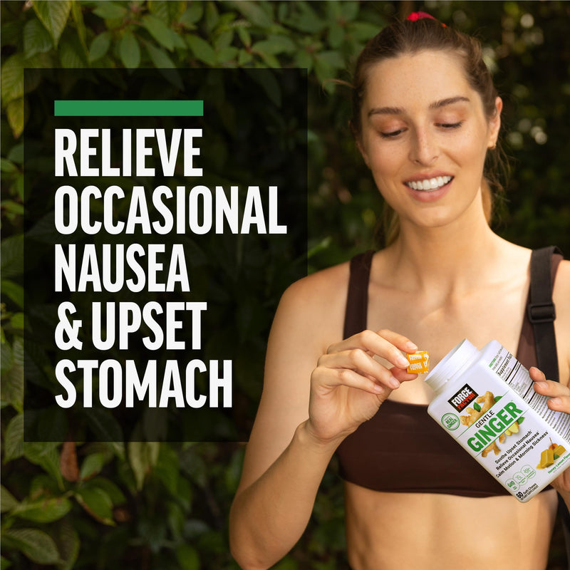 Force Factor Gentle Ginger Chews for Nausea Relief | Motion Sickness & Morning Sickness, Vitamin B6 for Digestive Support, Ginger Supplement, Honey-Lemon Ginger Flavor, 60 Chews
