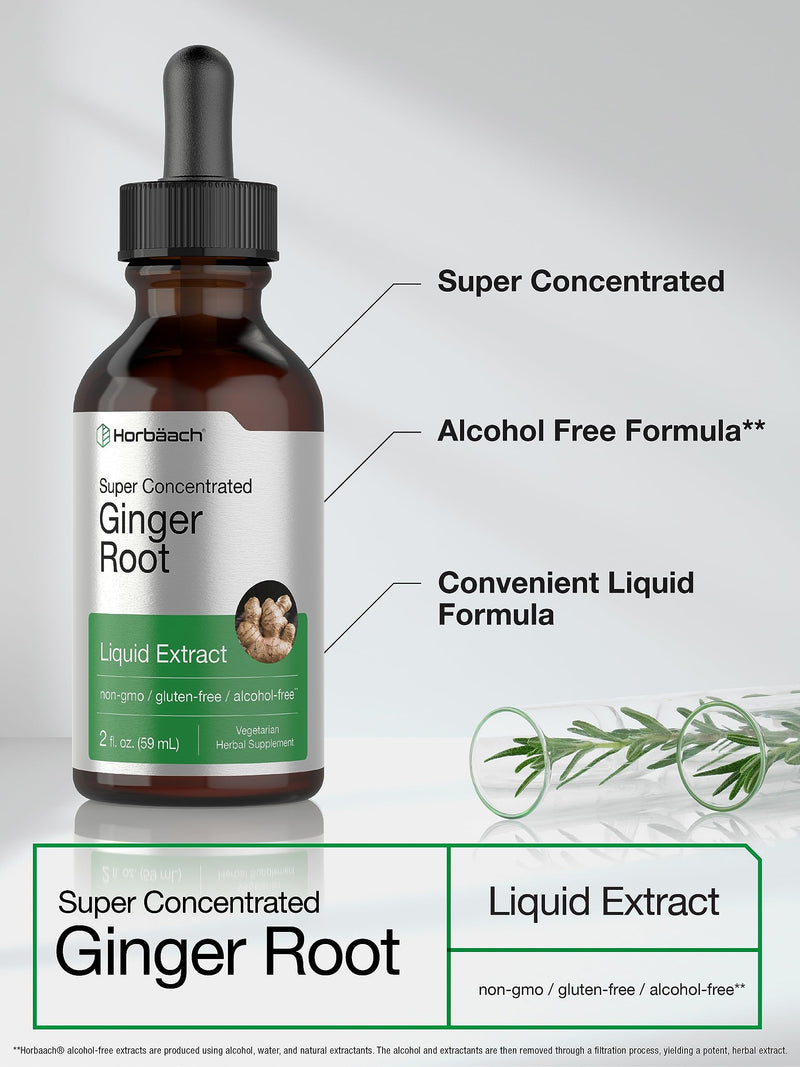 Horbäach Ginger Root Extract Liquid | 2 oz | Alcohol Free Supplement | Super Concentrated | Vegetarian, Non-GMO, Gluten Free