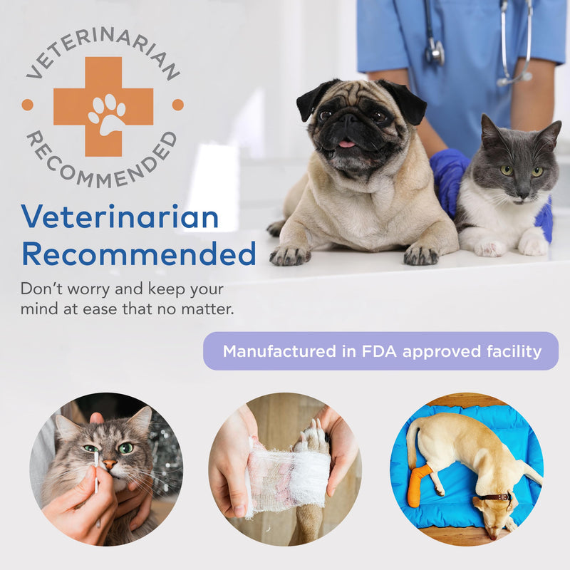 [Australia] - Cat & Dog First Aid Kit for Car - Pet Emergency Kit for Home Office Travel – Dog Camping Essentials with Digital Thermometer, Muzzle & Mini First Aid Pouch Neon Orange 