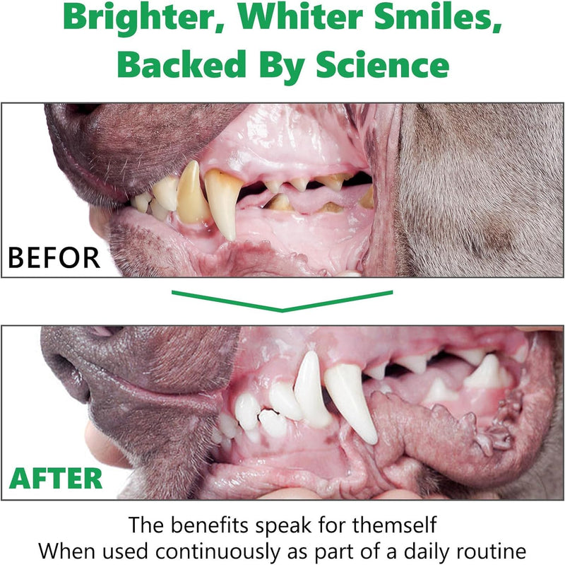 Dog Dental Powder(10.58OZ)-Teeth Cleaning Powder for Dogs, Plaque Off Powder for Dogs & Cats Breath Freshener Powder for Bad Breath, Tartar Remover, for Small/Medium/Large/Giant Dog - PawsPlanet Australia