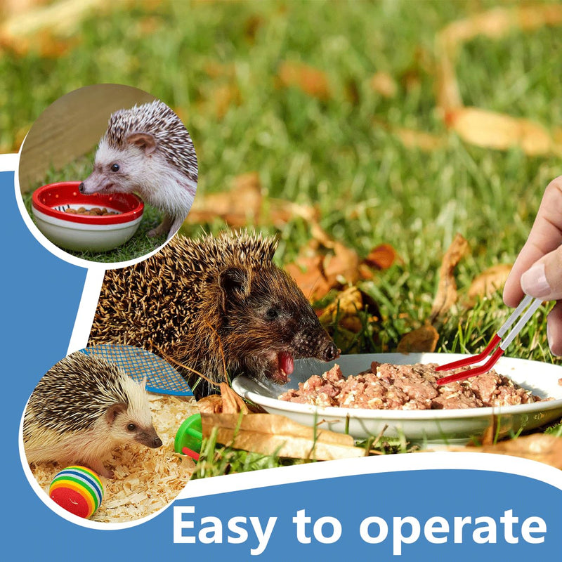 Mini Dustpan and Brush, Reptile Scoop Feeding Tool, Stainless Steel Straight Tweezers and Curved Tweezers for Reptiles, Hamsters, Hedgehogs, Rats, Guinea Pigs, Lizards and Other Small Animals White, Black - PawsPlanet Australia