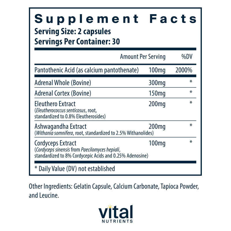 [Australia] - Vital Nutrients Adrenal Support | Adrenal Support Supplements for Gland Function and Cortisol Management | Supports Energy and Stress Levels | Gluten, Dairy, Soy Free | 60 Capsules 60 Count (Pack of 1) 