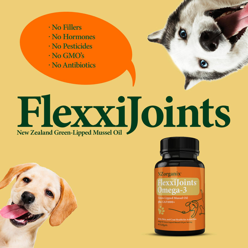 FlexxiJoints Omega-3 Hip and Joint Supplement • Green-Lipped Mussel Omega-3 Oil for Dogs • 100% New Zealand Green-Lipped Mussels (60 Softgels) - PawsPlanet Australia