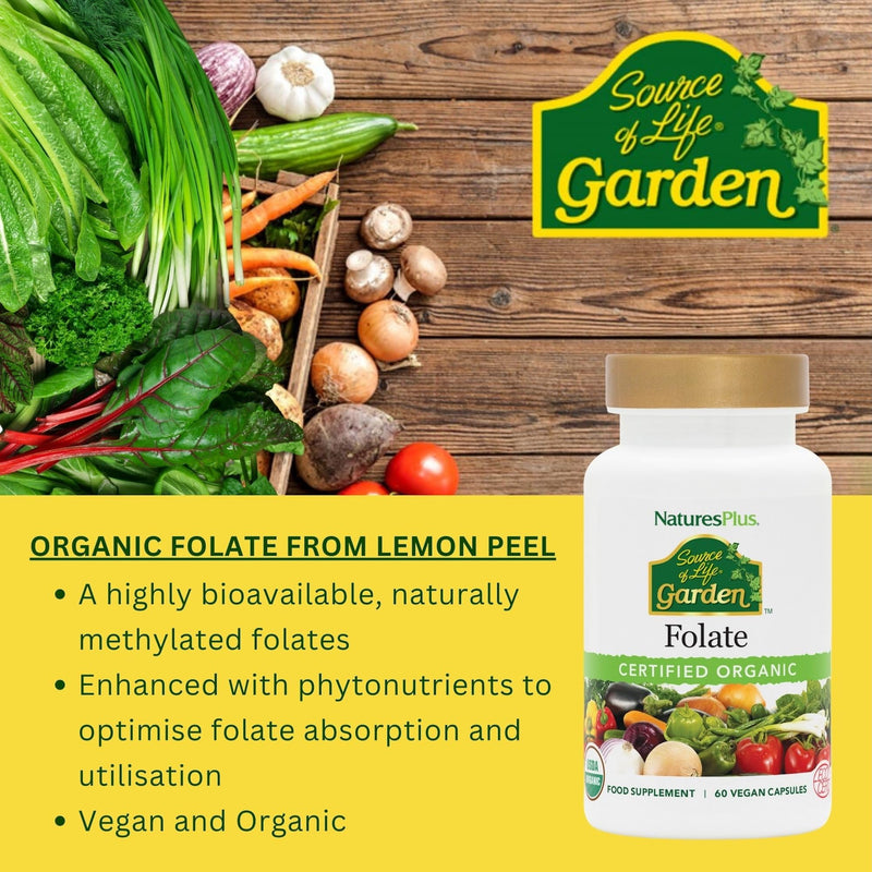 Source of Life Garden Organic Folate Capsules - 400 mcg Methylfolate and Other Plant Based Folates Extracted from Lemon Peel - Vegan, Gluten Free - 60 Capsules 60 count (Pack of 1)