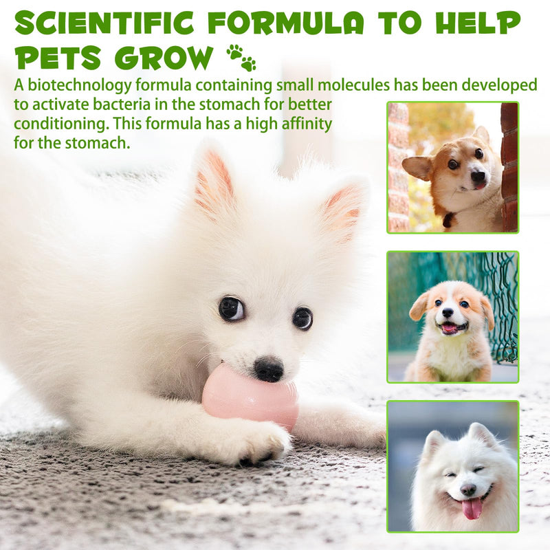 Probiotic for Dogs, Natural 3 in 1 Dog Probiotic Drops Helps Relieve Diarrhea, Supports Gut Health, Itchy Skin, Allergies, Immunity, Digestive Enzyme for Dog Supplement, Bacon Flavor - 60ml / 2 fl.oz 2 Fl Oz - PawsPlanet Australia