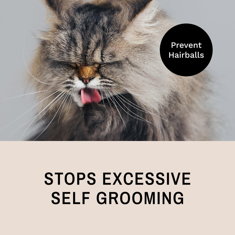 [Australia] - Eye Envy ProGlide Deshedding and Detangling Comb for Long-Haired Cats | Remove Undercoat, Excess Hair, Tangles & Knots | 6" Dual-Tooth Comb with Rounded Pins 