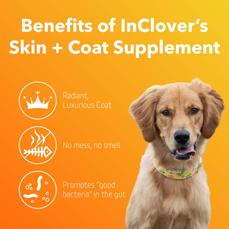 In Clover Dog Skin and Coat Supplement, BioRadiant Natural Supplement for Dogs, Healthy Skin and Coat Supplement, Fish Oil Alternative Uses Carrots, Coconut, Omega 3's, Biotin and Zinc Soothe Skin - PawsPlanet Australia
