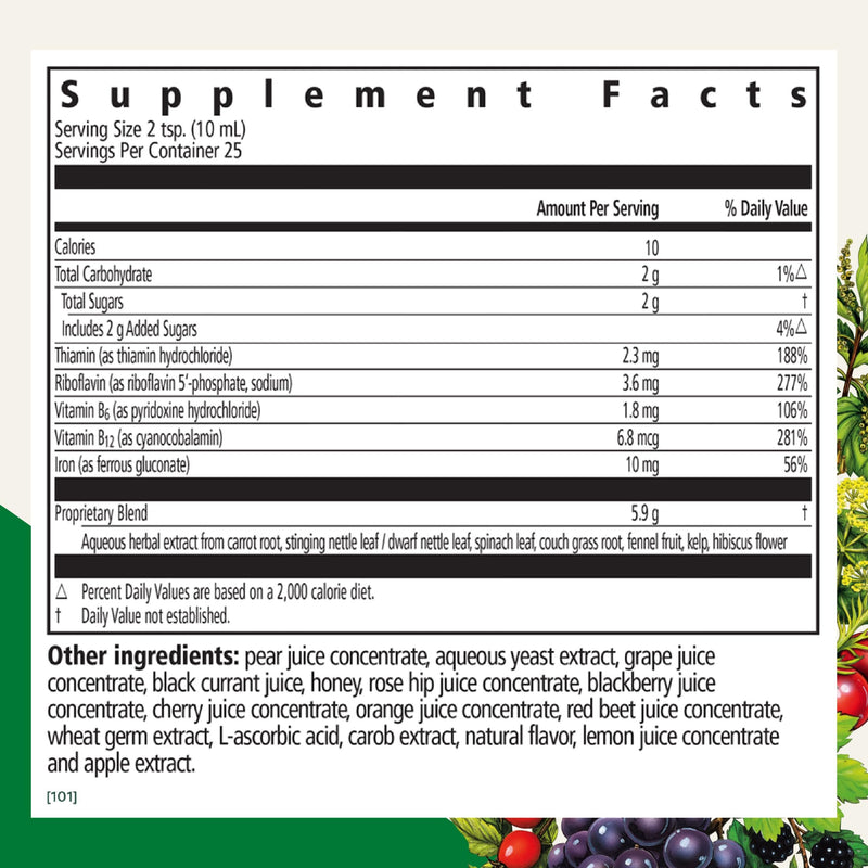 Floradix Iron & Herbs - Liquid Herbal Supplement for Energy Support - Iron Supplement with Vitamin C & Vitamin B Complex - Ferrous Gluconate Iron - for Men & Women - 8.5 fl oz Unflavored 8.5 Fl Oz (Pack of 1)
