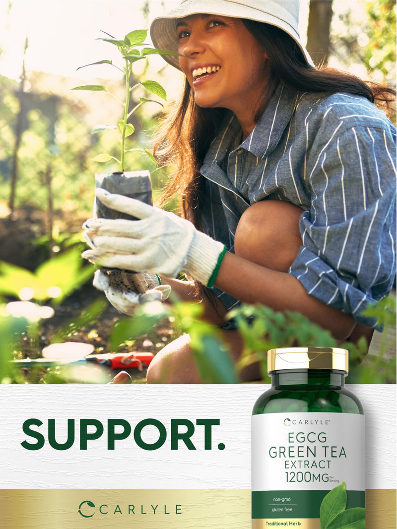 [Australia] - Carlyle EGCG Green Tea Extract Supplement | 1200mg | 200 Capsules | Non-GMO and Gluten Free 