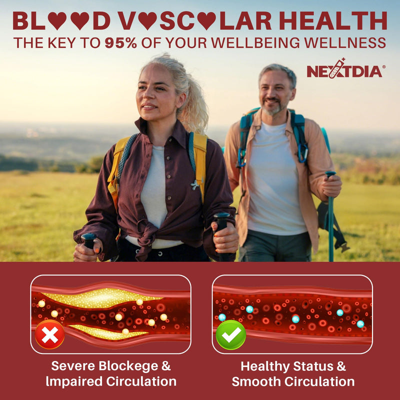 [Australia] - Red Yeast Rice Gummies 2400MG with CoQ10, Suagr Free Balanced Ch·πèlester·πèl Supplements Plus Citrus Bergamot, Plant Sterols & Stanols Supports V·∏Åscul·∏År Health, Energy, Immunity for Age 50+,Vegan,60 Cts 