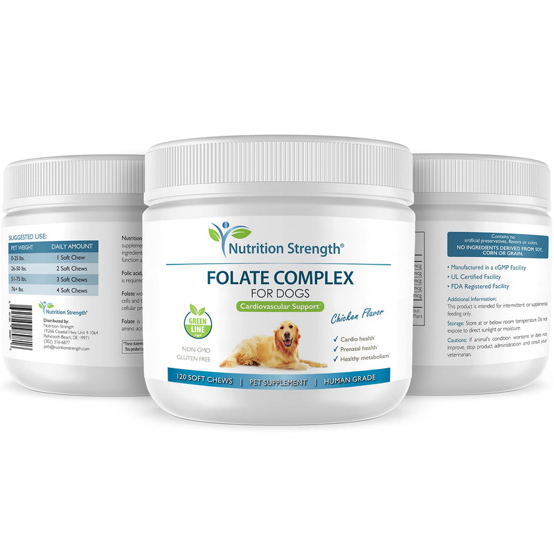 Folate for Dogs to Promote Cardiovascular & Prenatal Health, Support DNA Synthesis & Cell Maintenance, Folic Acid for Dogs with Zinc, Biotin, Iron & Vitamin B12, 120 Soft Chews - PawsPlanet Australia