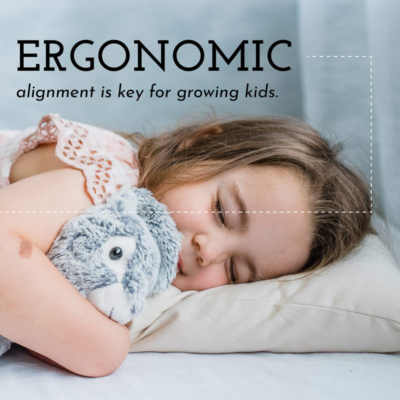 [Australia] - Little Sleepy Head Toddler Pillow, Organic Cotton, Down-Like Fill, Ivory 13 X 18 Toddler 13x18 